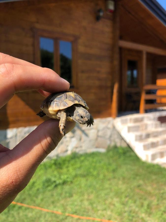 Orahovo Cottages Virpazar Exteriér fotografie